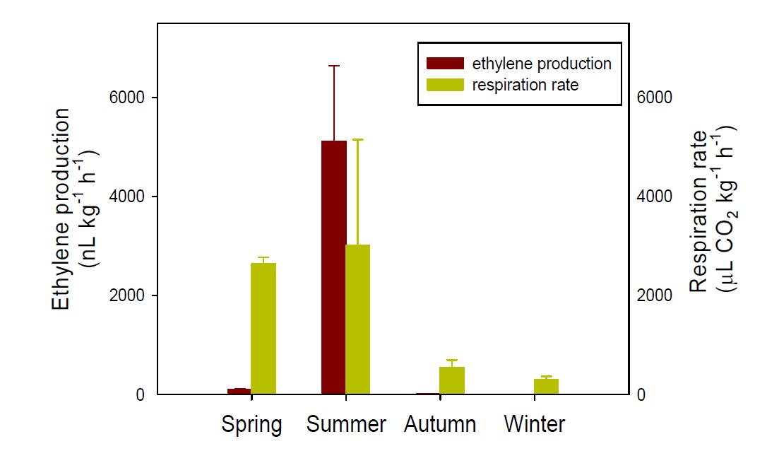 Comparison of ethylene production and respiration rate of Chinese cabbage cultivated in spring, summer, autumn, and winter seasons.