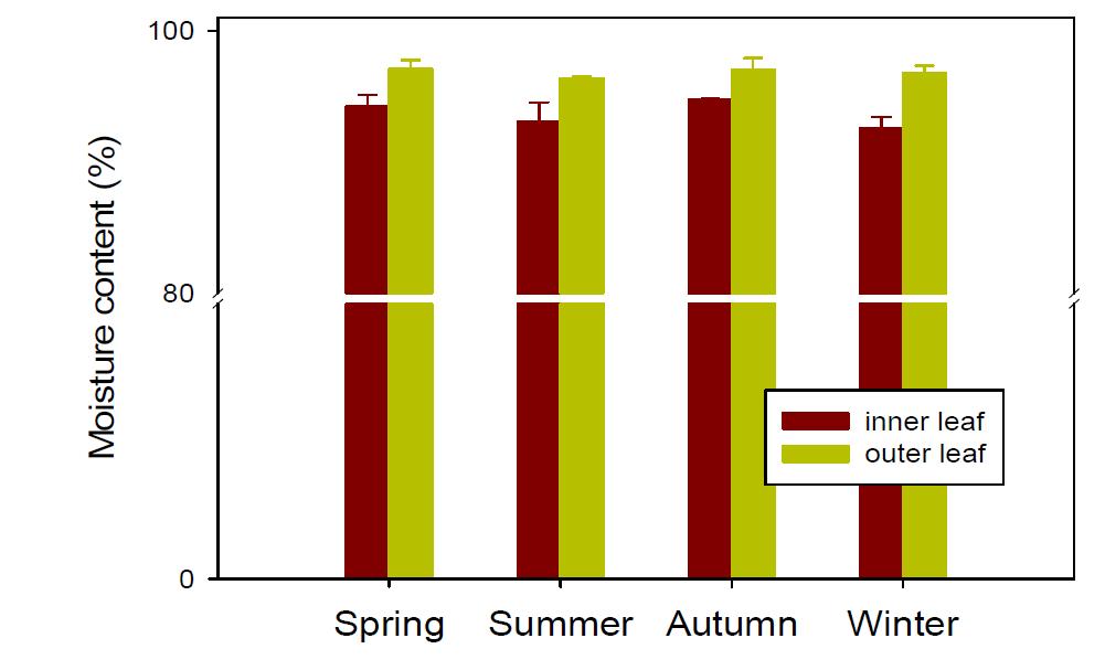 Comparison of moisture contents of Chinese cabbage cultivated in spring, summer, autumn, and winter seasons.