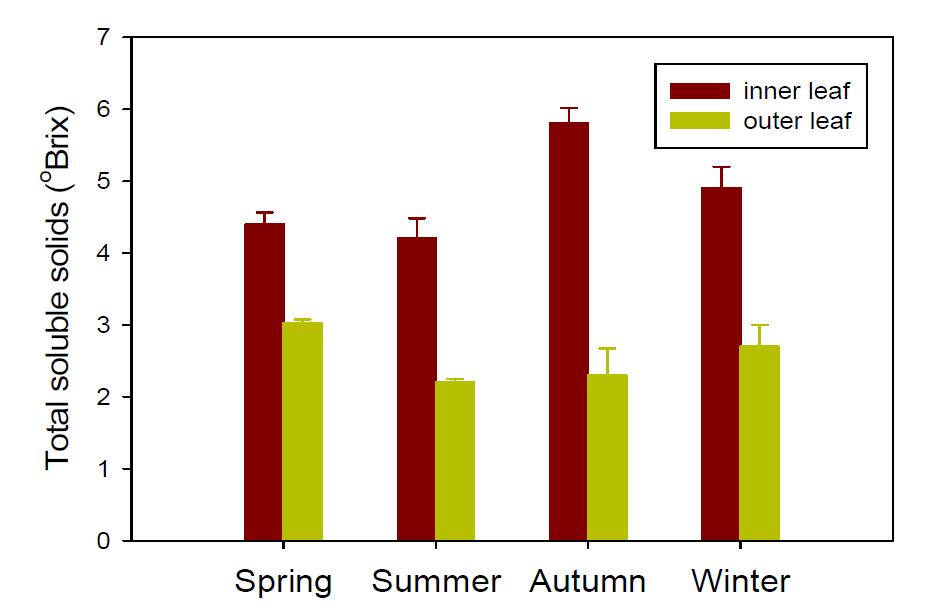 Comparison of total soluble solids of Chinese cabbage cultivated in spring, summer, autumn, and winter seasons.