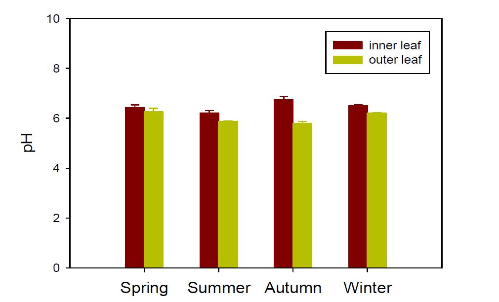 Comparison of pH of Chinese cabbage cultivated in spring, summer, autumn, and winter seasons.