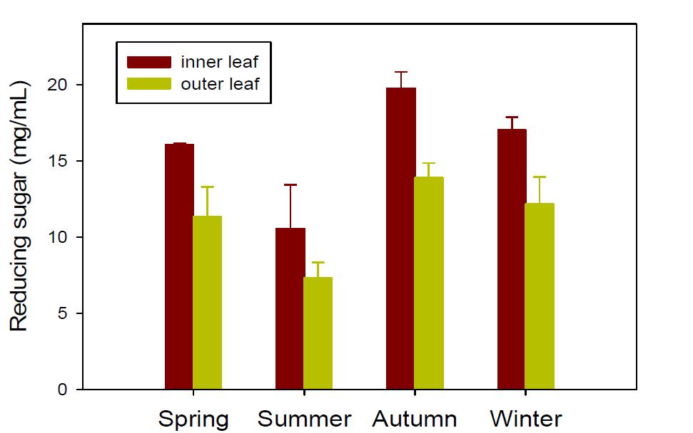 Comparison of reducing sugar contents of Chinese cabbage cultivated in spring, summer, autumn, and winter seasons.