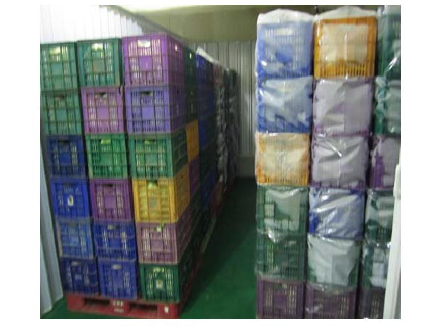 Storage of Chinese cabbage cultivated in winter season with PE, PP, and PA film.