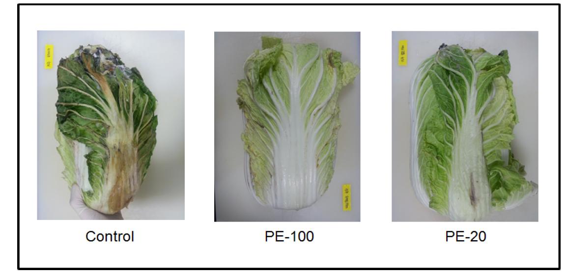 Chinese cabbage stored at –0.2oC for 15 weeks with different kinds of films (PE, 20 and 100 m thickness).