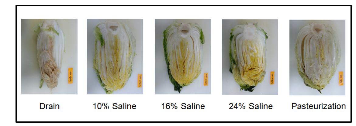 Appearance of salted Chinese cabbage with 10, 16, and 24% of saline for 16 h and pasteurization treatment, then stored at 0oC for 4 weeks.