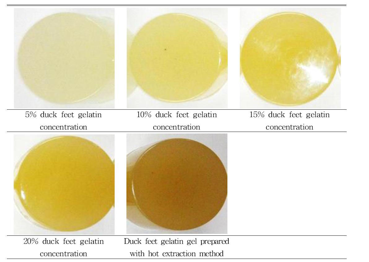 Apparence of duck feet gelatin gels prepared with duck feet gelatin powder and hot extraction method.