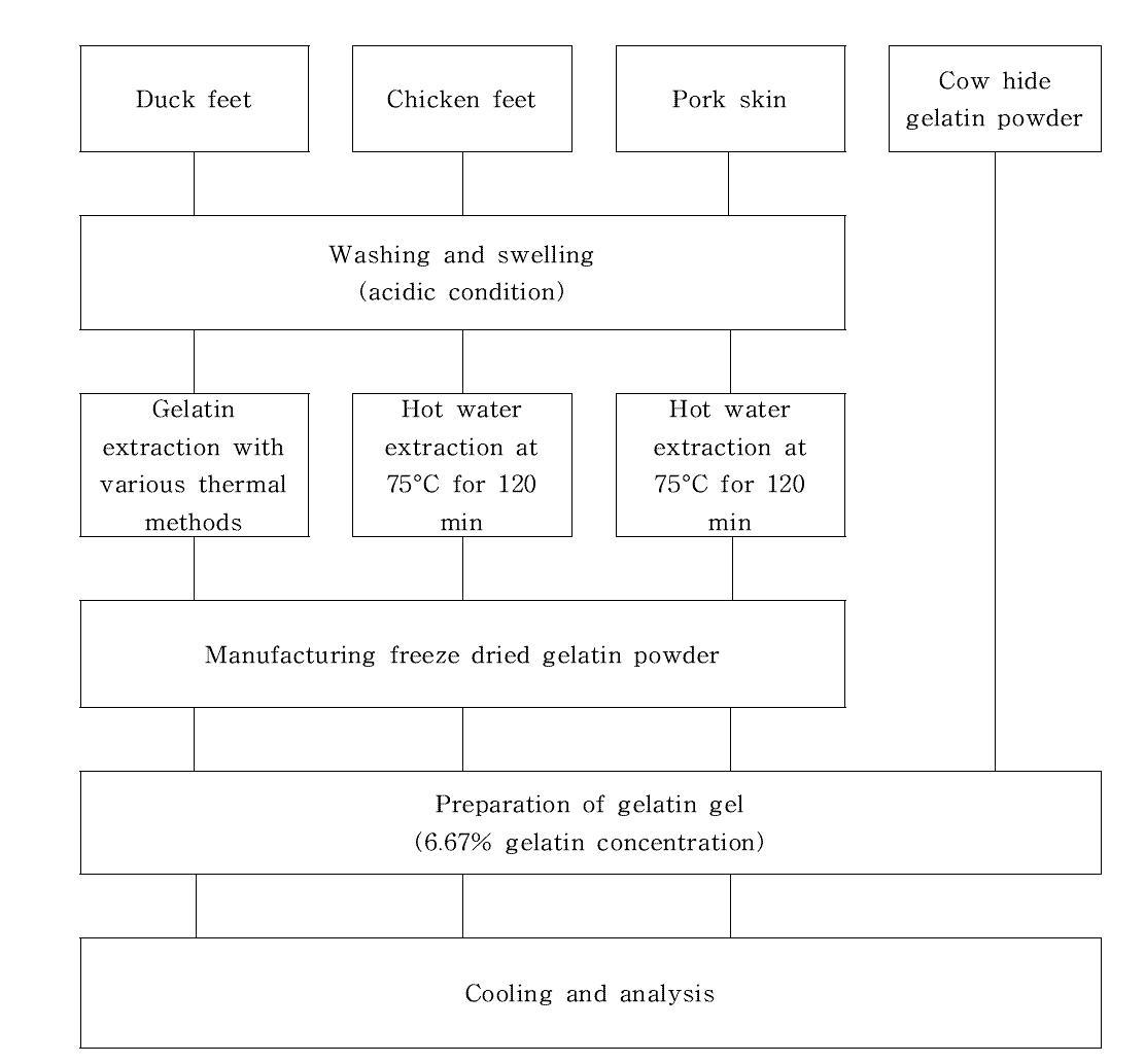 Experimental design of comparative studies about quality characteristics of various gelatins.