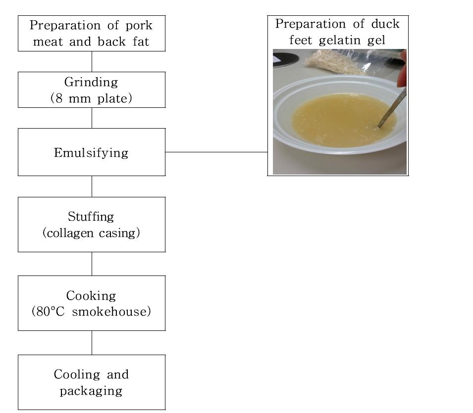 Processing procedure of low-fat frankfurters prepared with duck feetgelatin gel.