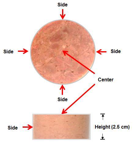 Schematic diagram of measuring location in the restructured duck meat product as a type of corned beef.