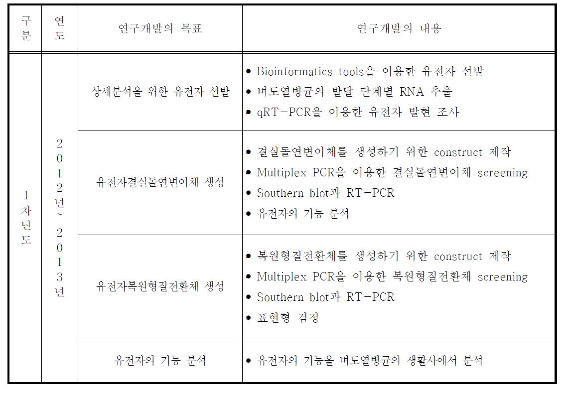 연구개발의 내용