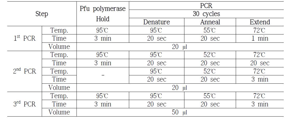 construct 제작에 사용된 PCR 조건