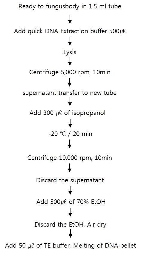 quick DNA extraction method.