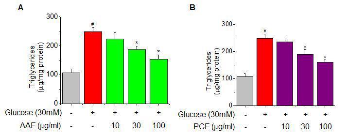 Effect of AAE (A)and PCE (B)hepatic triglyceride contents in HepG2 cells.
