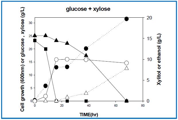 균주 Y-2의 glucose와 xylose혼합기질 내에서의 에탄올과 xylitol생산