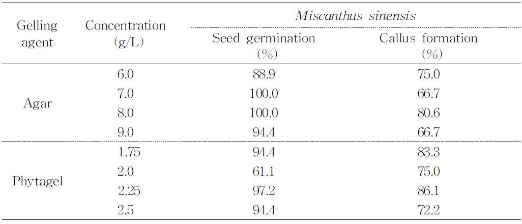참억새 (Miscanthus sinensis) 성숙종자로부터 캘러스 유도에 미치는배지고형제 종류와 농도의 효과