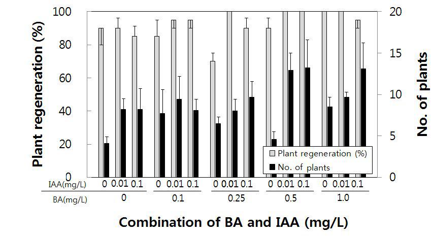 갈대 (Phragmitescommunis)의 미성숙 화기 유래 캘러스로부터식물체 재생에 미치는 BA와 IAA조합처리의 영향