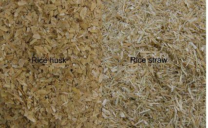 Rice husk and rice straw particles.