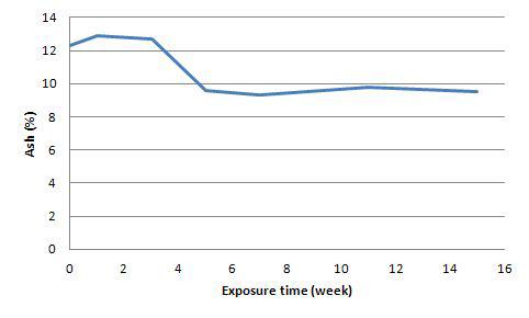 Ash content of rice straw according to exposure time.