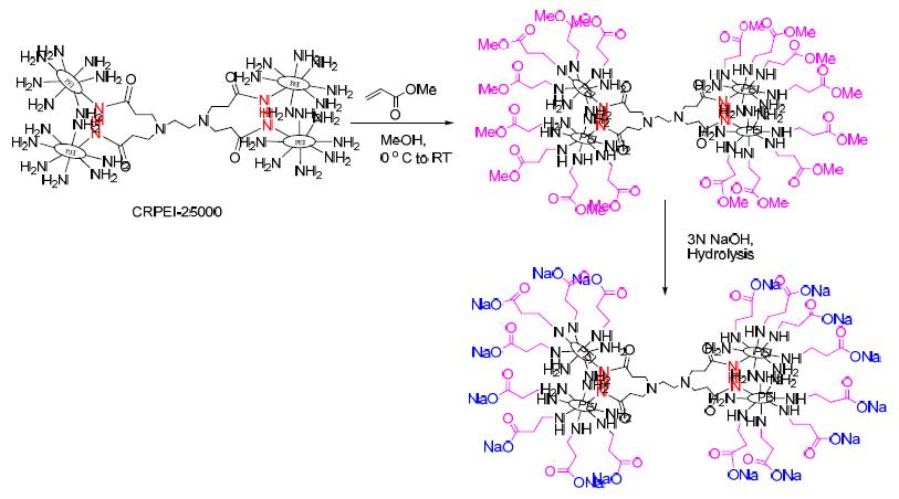 Synthesis of hyperbranched PEI anion-selective macromolecules with Cl- groups. Adapted from Diallo and Yu (US and PCT Patent Application).