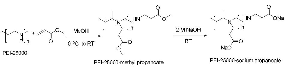 Synthesis of hyperbranched PEI cation-selective macromolecules with Na+ groups.