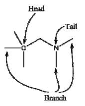 Design of the monomer for the modeling of hyperbranched PEI