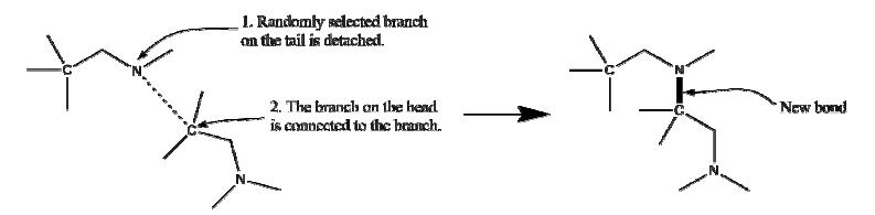 Brief process of modeled polymerization