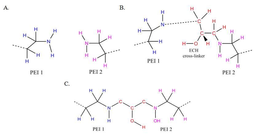 The cross-linking between two hyperbranched PEIs