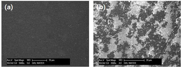 SEM images of the commercial nano filtration membrane surface (a) before water filtration experiment and (b) after water filtration experiment.