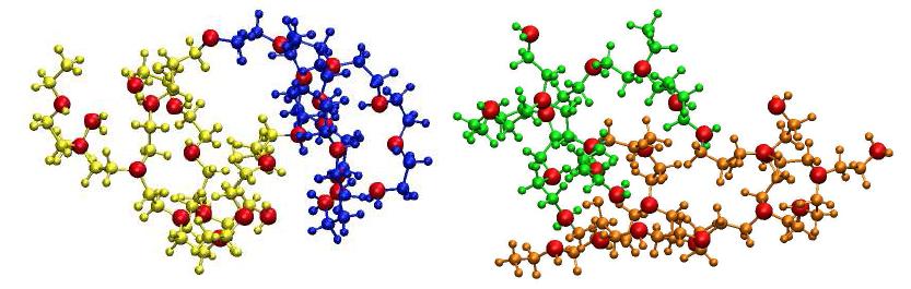 Cross-linked hyperbranched PEI molecules