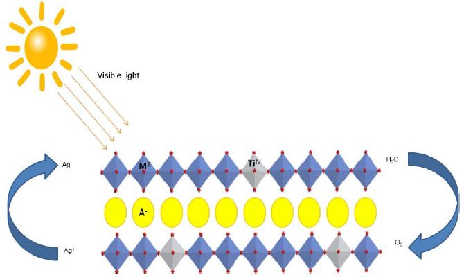 Scheme of experiment