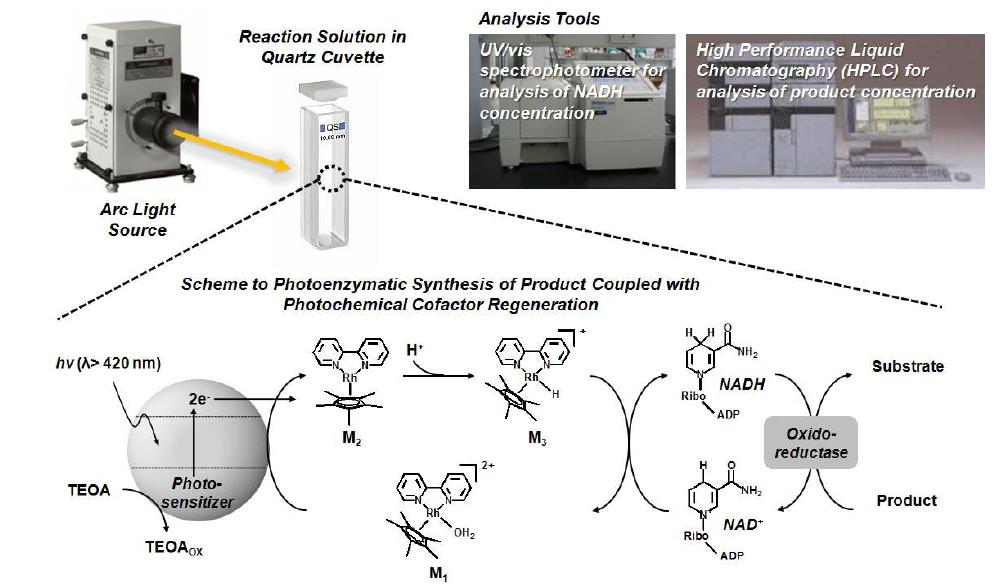 Experimental set-up for photoenzymatic synthesis of various products coupled with photochemical cofactor regeneration by photosensitizers.