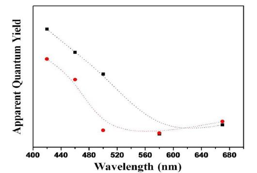 Apparent quantum yield of two LDH photocatalysts, black dotted line shown with ■ : (Ni/Ti)LDH, red dotted line shown with ● : (Cu/Ti)LDH