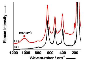 Raman data of TiO2 /Fe oxide(1:2) Fe/Cl/H2O2/buffer powder (b) and TiO2 (a).