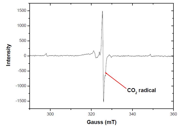ESR data of γ- ray irradiated CO2+ H2O hydrate