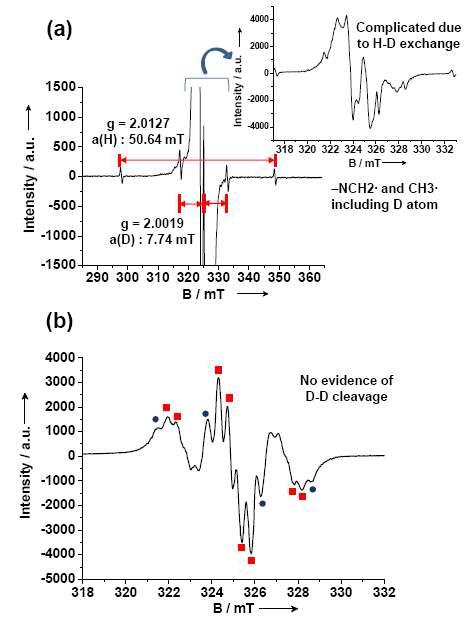 ESR spectra of (a) Me4NOH + N2 in D2O host, (b) Me4NOH + D2 in H2O.