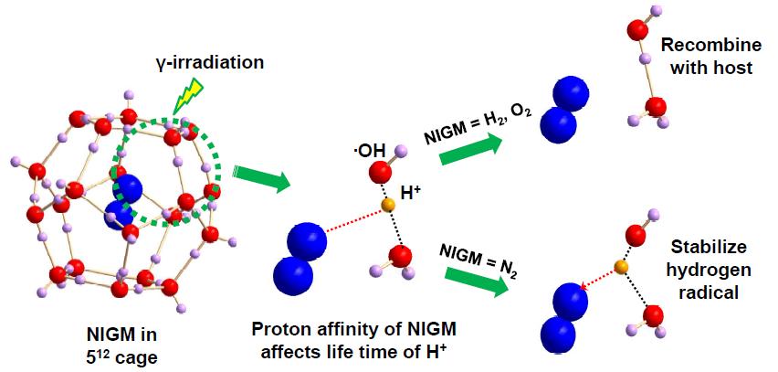 Stabilization of hydrogen radicals by catalytic N2 guest. Proton affinity of N2 (-123 kcal/mol) is superior to that of H2 (-106 kcal/mol) or O2 (-99 kcal/mol).