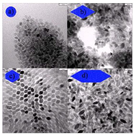 TEM images of (a) spherical (TB : OA : OM = 1 : 4 : 6) (b) rhombic (TB : OA : OM = 1 : 6 : 4) (c) truncated rhombic (TB : OA : OM = 1 : 5 : 5) and (d) elongated rhombic (TB : OA : OM = 2: 6 : 4) titania nanoparticles.