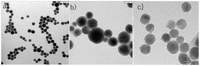 TEM images of (a) Se@Pt , (b) Ag2Se@Pt and (c) CdSe@Pt core-shell hybrid nanoparticles. The bars represent (a) 100 nm , (b) and (c) 20 nm.