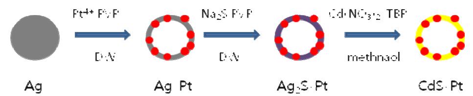 Syntetic procedure of of embedded CdS hollow shell nanostructures