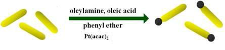 Synthetic scheme of Pt attached CdSe nanorods.