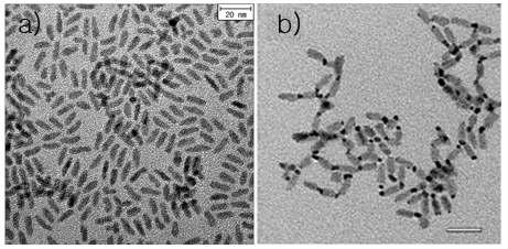 TEM images of a) CdSe nanorods and b) Pt attached CdSe . The scale bars represent 20nm .
