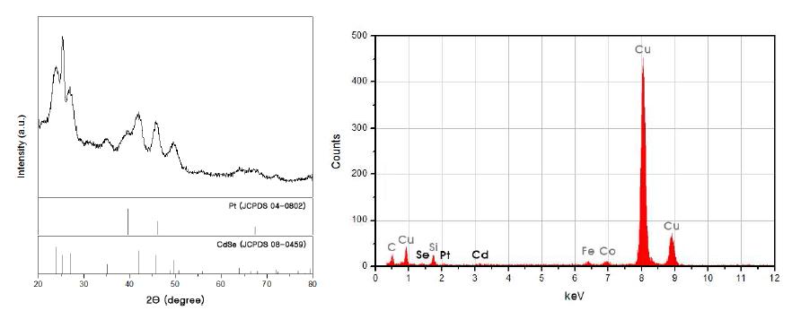 XRD pattern of Pt attached CdSe nanorods and EDS analysis of Pt attached CdSe nanorods.