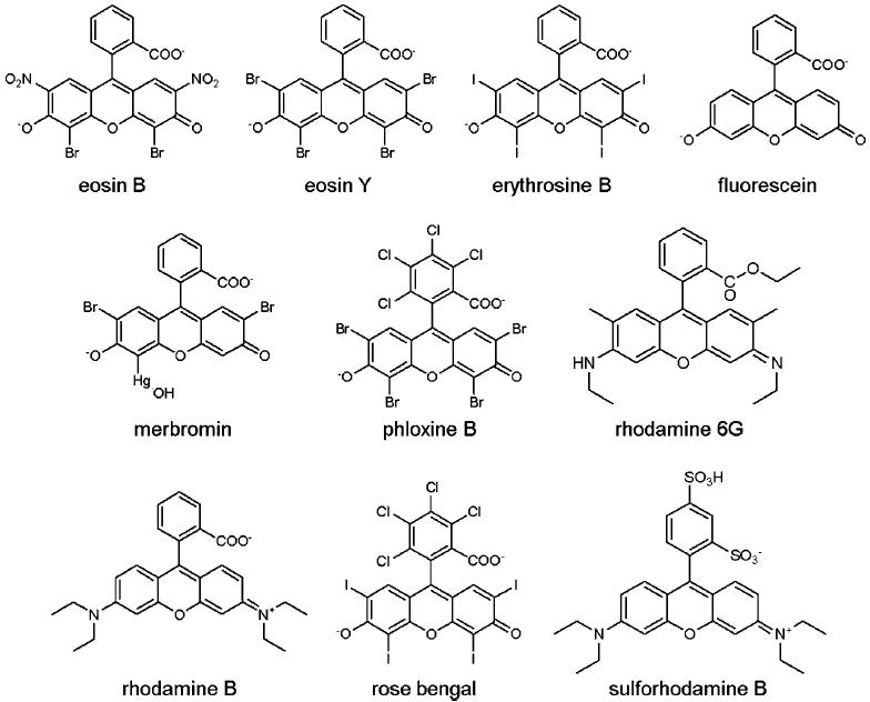 Molecular structures of xanthenes dyes studied in this work.