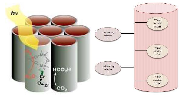 Schematic diagram for Fe oxide and phosphate species supported on TiO2