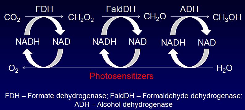 Scheme to methanol production from carbon dioxide by three enzymes system coupled with photochemical cofactor regeneration.