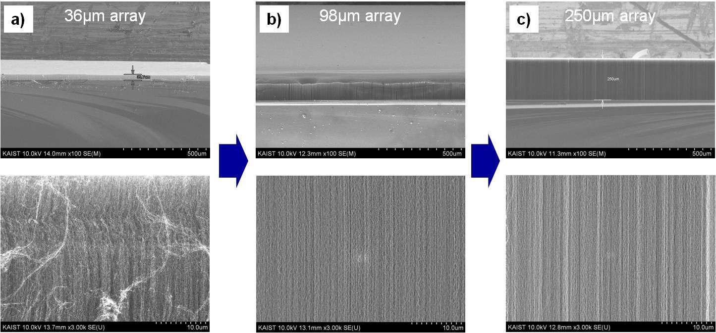 SEM images of CNT forests depends on gas flow direction to catalysts in CNT forests growth Schematics of gas flow direction to catalysts in CNT forests growth