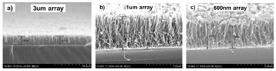 Change of height of CNT forests depend on the time of RIE treatment, (a) Without RIE treatment (b) Ar RIE treatment 2 min (c) Ar treatment 3min