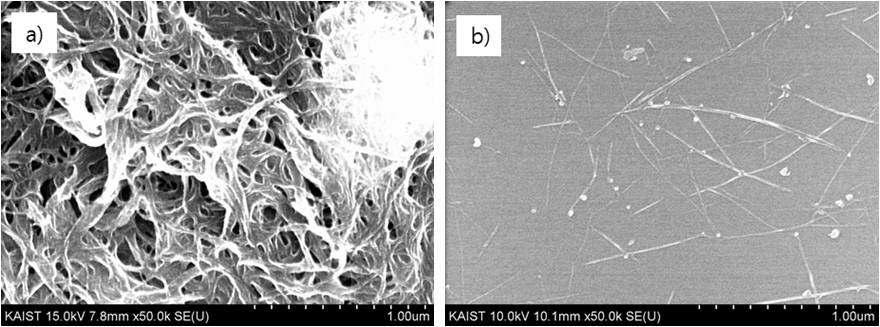 SEM images of dispersion states of CNTs in organic solvents(cholorobenzene), (a)Carboxylate CNT(Hydrophobic), (b)Alkyl-amide CNT(Hydrophilic)