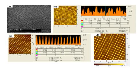 surface morphologies of P3HT/PCBM mixture (a) using AAO template, (b-d) using various sized Si master molds