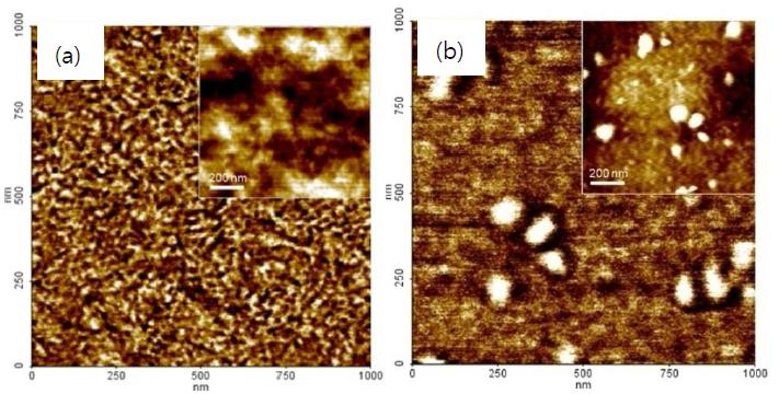 AFM phase images of polymer:PCBM films (a) P4H:PC61BM (1:3 w/w) film. (b) PFODBT:PC61BM (1:4 w/w) film. The insets show AFM topology images