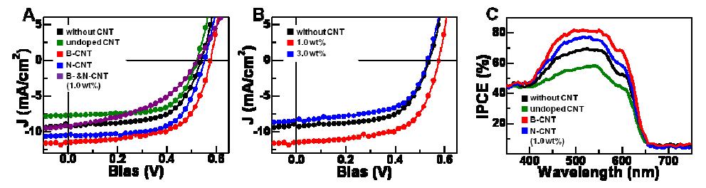 (A) 유기태양전지의 J-V 특성평가 CNT가 없을 경우(black), undoped CNTs(green), BCNTs(red), N-CNTs(blue), 그리고 mixture of B- & N-CNTs(purple). (B) 농도에 따른 태양전지의 J-V 특성평가 0 wt%(black), 1.0 wt%(red), 그리고 3.0 wt%(blue) B-CNTs. (C) 유기태양전지의 incident photon to current conversion efficiency (IPCE) spectra 특성평가.